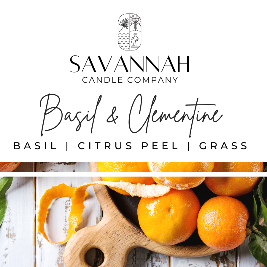 BASIL + CLEMENTINE - Wax Melt - 6pk - Summer 2025