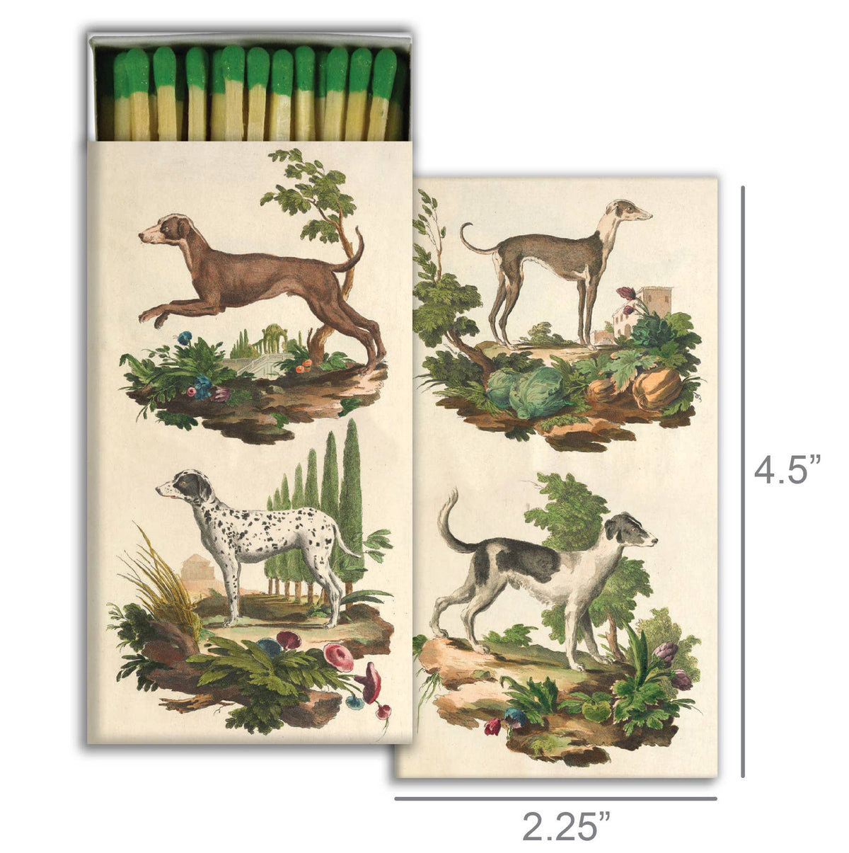 Italian Dogs Matches