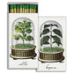 Cloche Matches