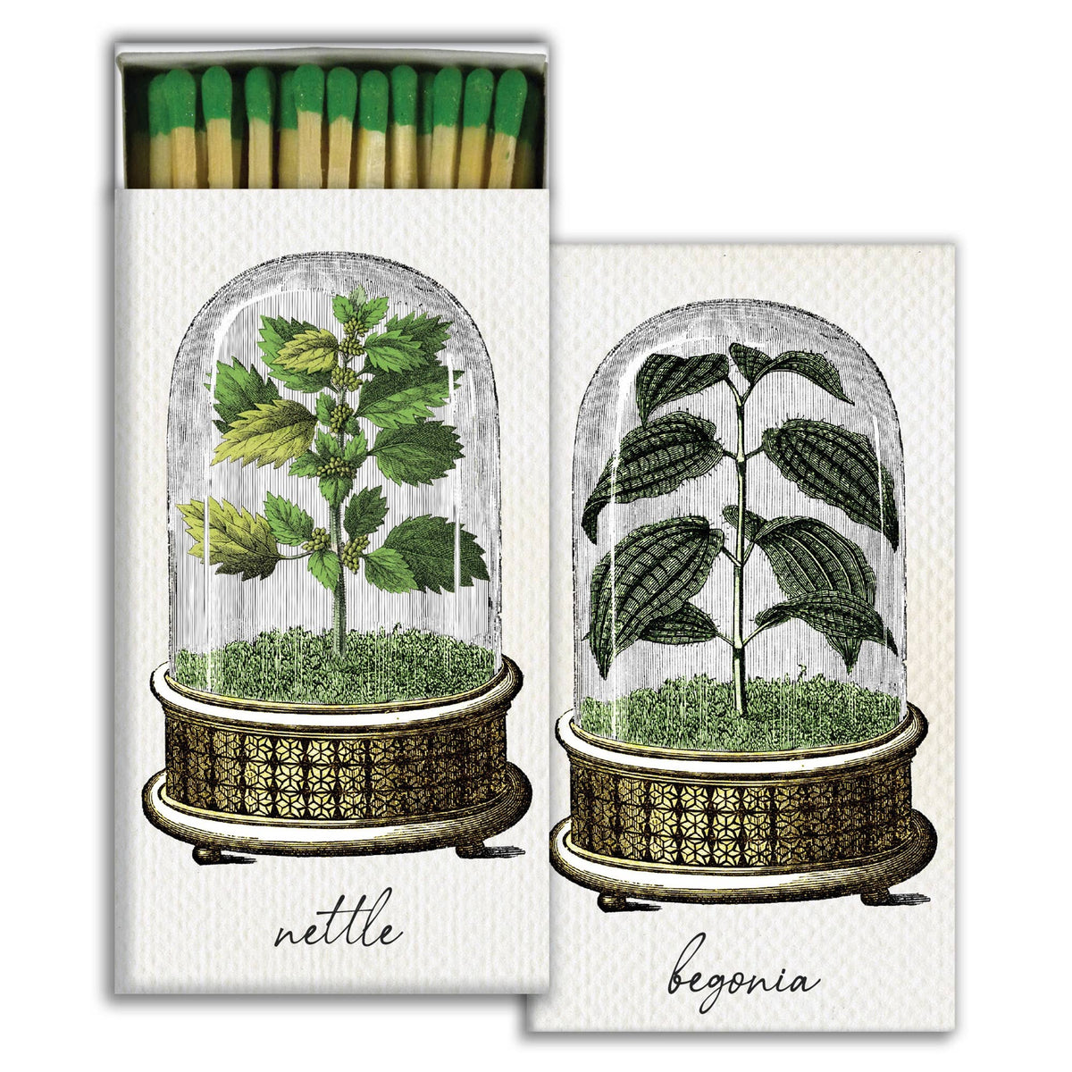 Cloche Matches