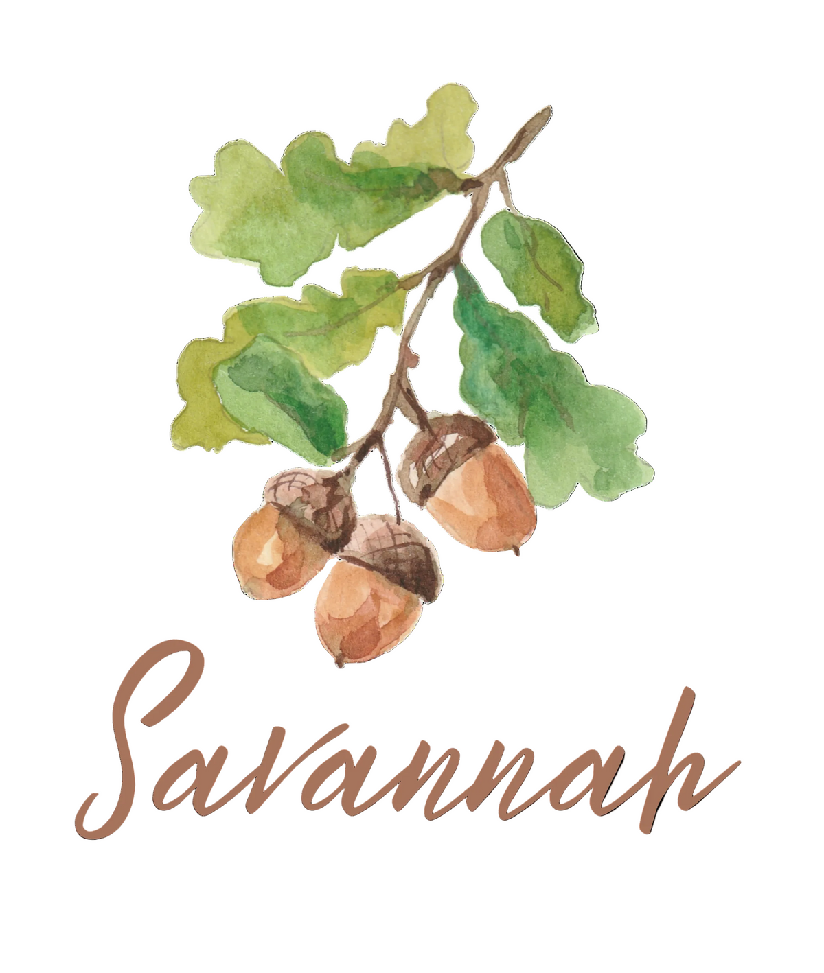 Acorn Watercolor Postcard