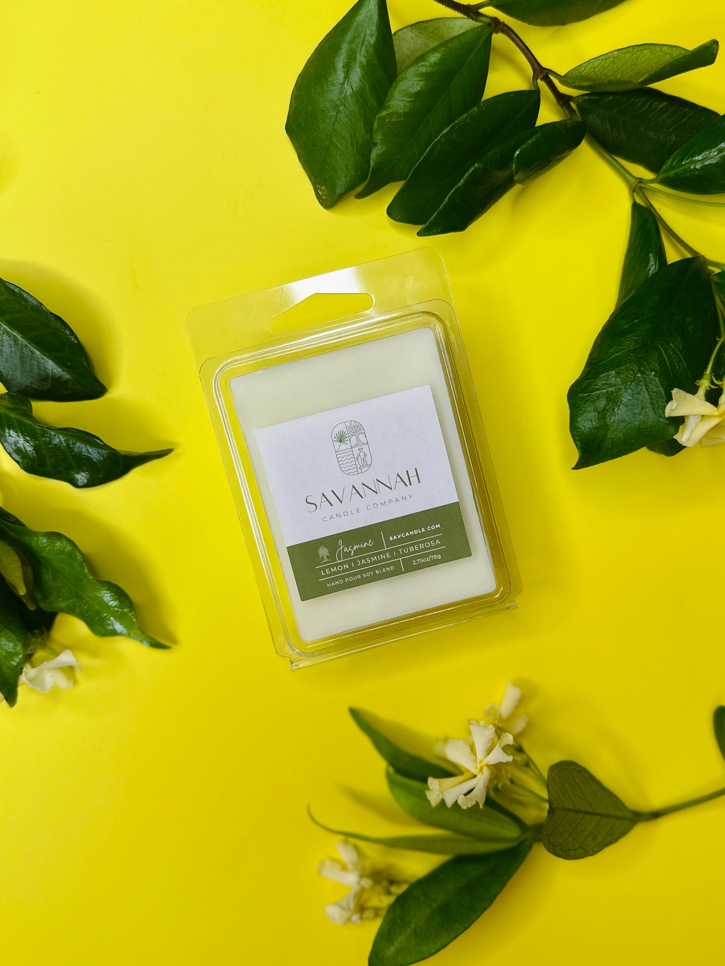 JASMINE - Wax Melt - 6pk - Forsyth Collection